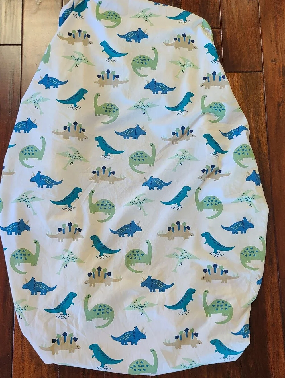 N/A dinosaur print